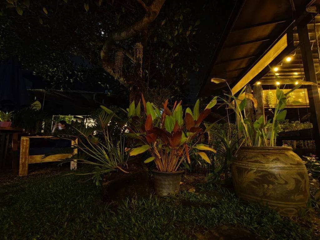 The Willow Phangan Ko Pha Ngan Exterior foto
