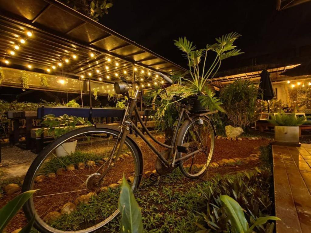 The Willow Phangan Ko Pha Ngan Exterior foto