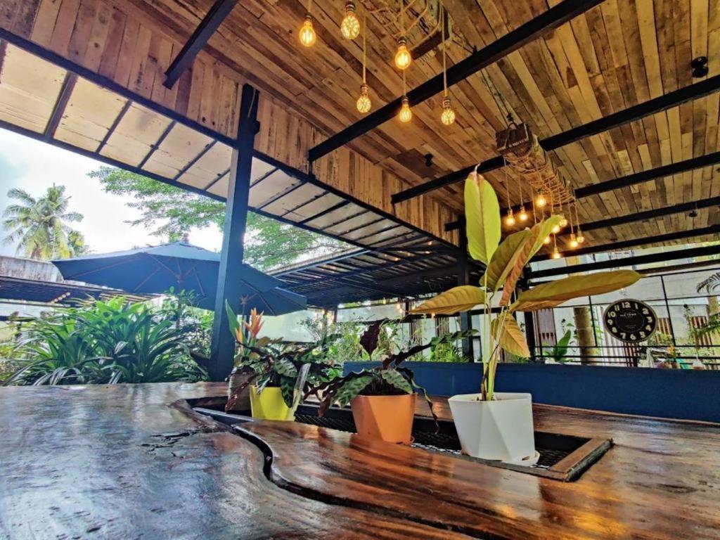 The Willow Phangan Ko Pha Ngan Exterior foto
